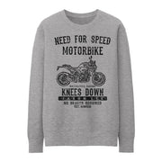 JL Speed Illustration for a BMW F900R Motorbike fan Jumper