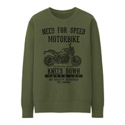 JL Speed Illustration for a BMW F900R Motorbike fan Jumper