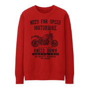 JL Speed Illustration for a BMW F900R Motorbike fan Jumper