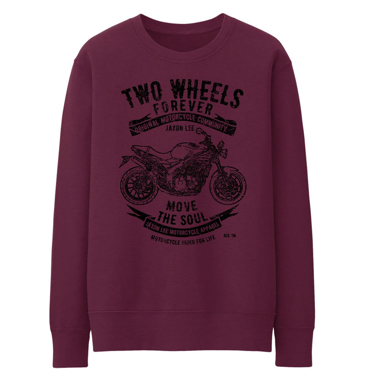 JL Soul Illustration For A Triumph Speed Triple Motorbike Fan Jumper