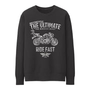 JL Ultimate Illustration for a Suzuki B-King Motorbike fan Jumper